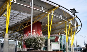 Marina Bay Inn and Suites